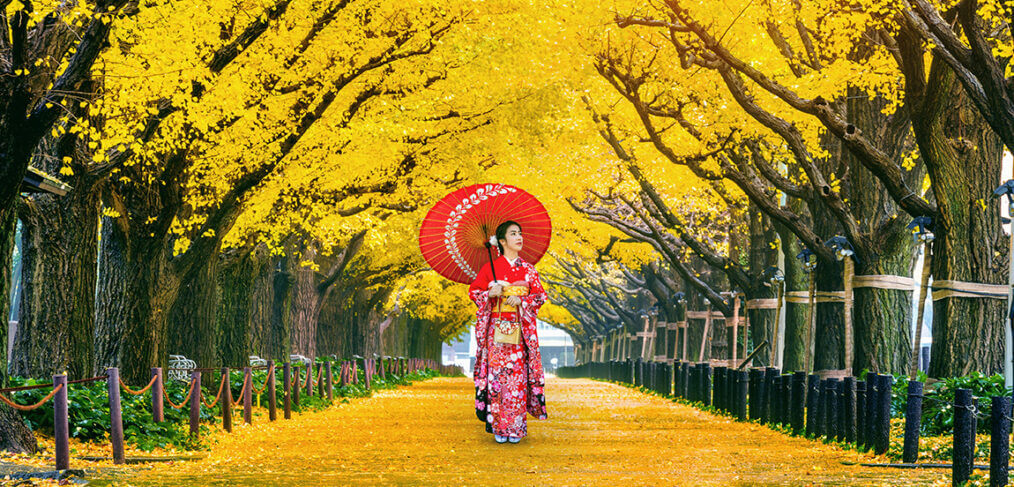 adobestock 2063242201 1014x487